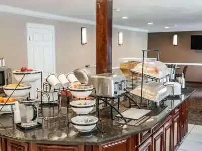 Comfort Inn South - 10