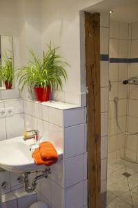 Lotte - The Backpackers - 32