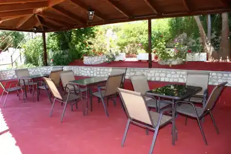 Zante Yliessa - 19
