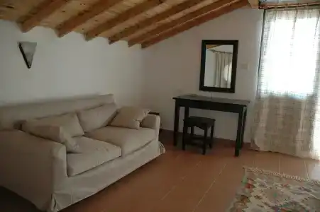 Arpia - 14