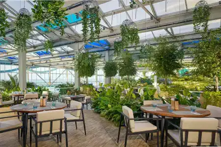Paragraph Resort & Spa Shekvetili, Autograph Collection - 31
