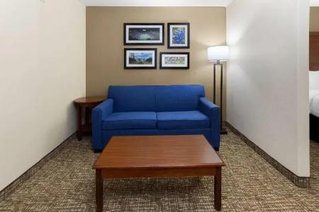 Microtel Inn & Suites by Wyndham College Station - 105
