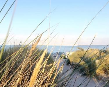 Windland - 23