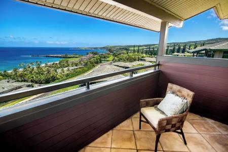 Kapalua Villas Maui - 346