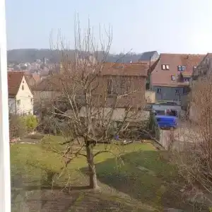Gasthof-Restaurant Blauer Bock - 14