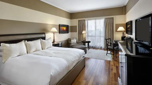 Intercontinental Buenos Aires, An Ihg - 76