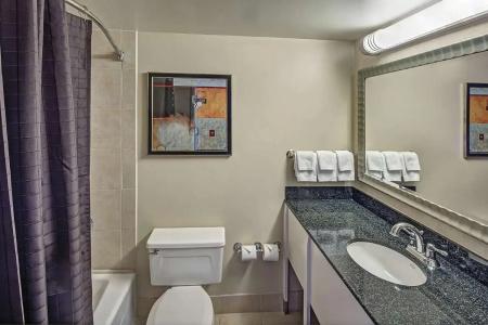Hilton Arden West - 68