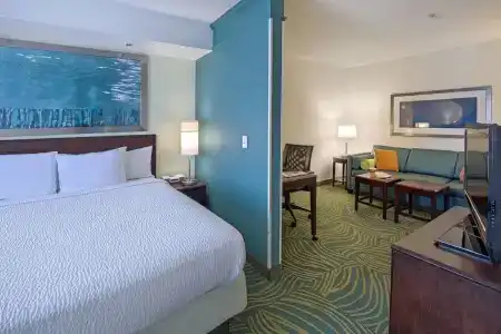 SpringHill Suites by Marriott - 22