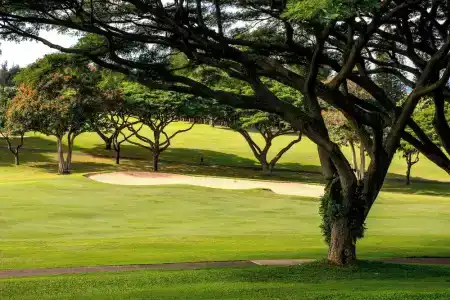 Kapalua Villas Maui - 359