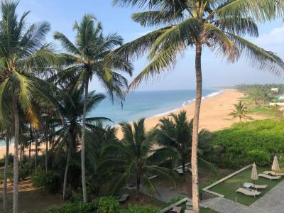 Turtle Bay - 57