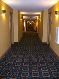 Best Western Posada Ana Inn-Airport - 7