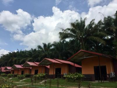 Khao Sok Evergreen House - 29