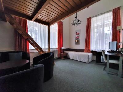 Jana / Pension Domov Mládeže - 40