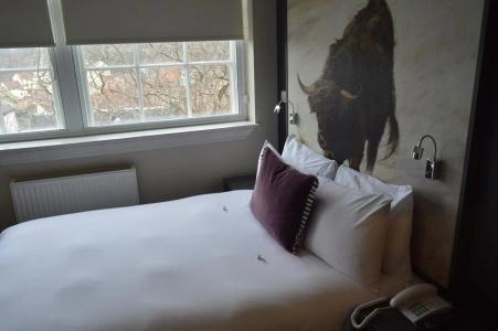 B+B Edinburgh - 5
