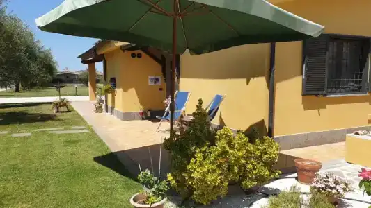 L'Antico Vigneto - 8