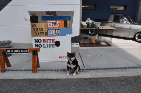 Guest House Matsu - 25