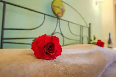 Orpheas Resort (Adults Only) - 147