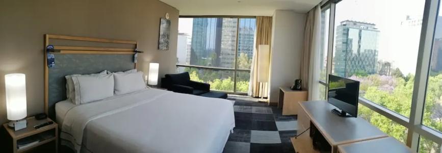 Holiday Inn Express Mexico Reforma - 85