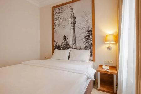 Molton Sisli Mls - 4