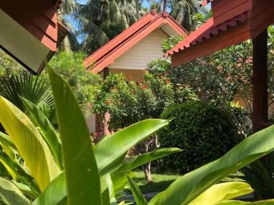 Wonderful Resort - 60