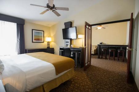 Holiday Inn Expresss & Suites West, An Ihg - 81