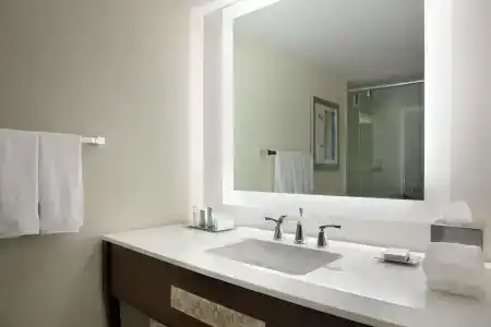 Hilton Miami Airport Blue Lagoon - 8
