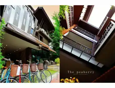 The Peaberry Explorer - 14