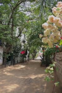Shahar Palace - 24