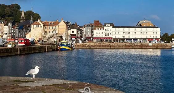 Best Western Le Cheval Blanc -Centre- Vieux Port - 149