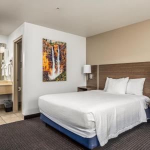St. George Inn and Suites - 35