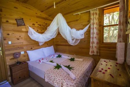 Full Moon Camp - 37