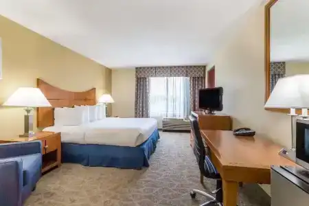 Wingate by Wyndham - Universal Studios and Convention Center - 16