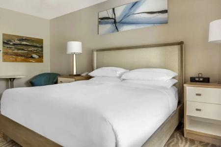 Hilton Grand Vacations Club SeaWorld Orlando - 49