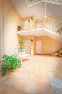 Il Cortile delle Esperidi - 20