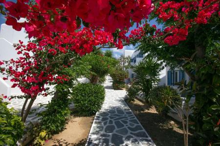 Acrogiali Beach Mykonos - 23