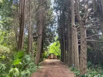 Etna Botanic Garden - 51