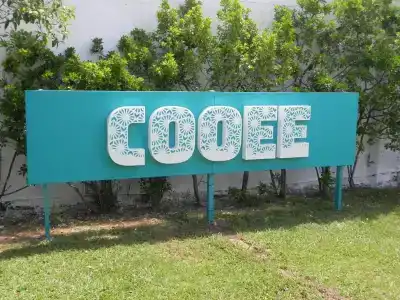 Cooee Albatros - 20