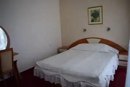 Velingrad Balneohotel - 1