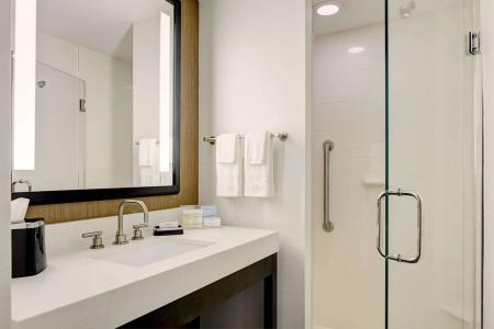 Hampton Inn Brooklyn Downtown - 10