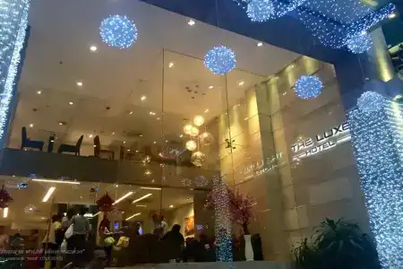 The Luxe - 40