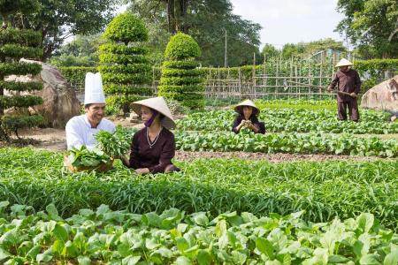 Maison du Vietnam Resort & Spa - 45