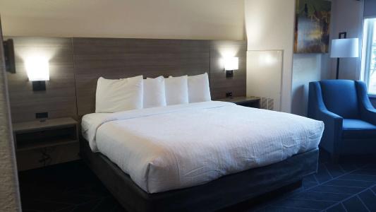 Arbor Inn and Suites - 45