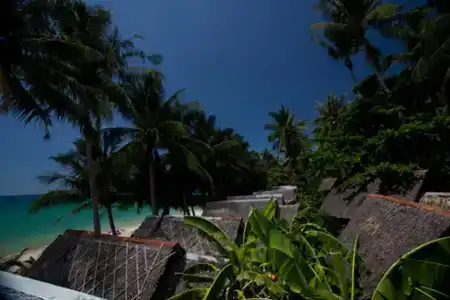 Coconut Beach Resort - 21