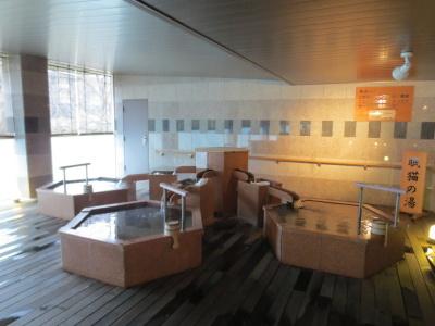 Ooedo-Onsen Monogatari Kinugawa Kanko - 1