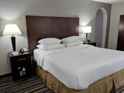 Wyndham Garden Charlotte Executive Park - 18