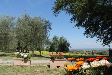 Agriturismo Cantagalli - 37