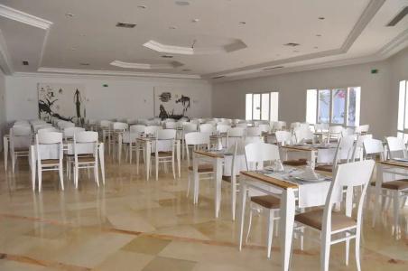Bougainvillier Djerba - 12