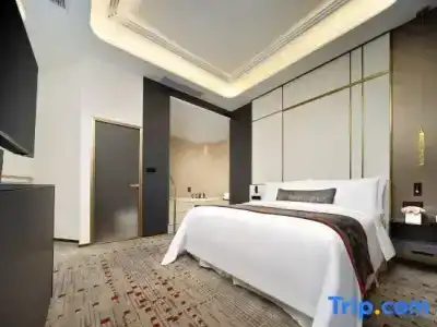 The St. Regis Chengdu - 209