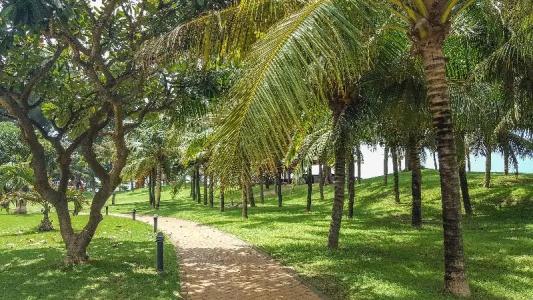 Phan Thiet Ocean Dunes Resort - 46