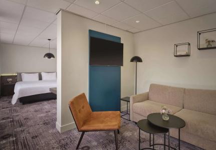 Park Plaza Eindhoven - 49